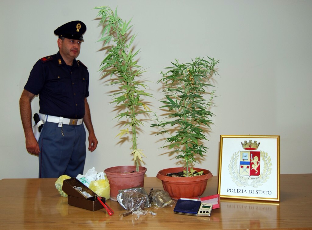 Somma Vesuviana, coltiva piante di marijuana in casa