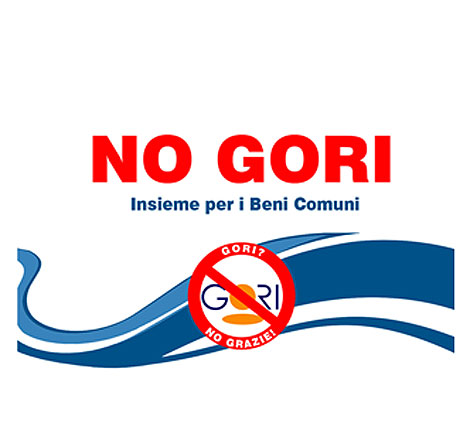 Caso Gori, Comitati acqua pubblica a Roma