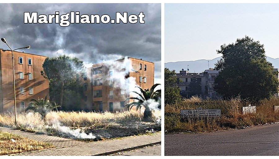 San Vitaliano , le palazzine popolari bruciano: con il caldo ritorna il problema del verde pubblico