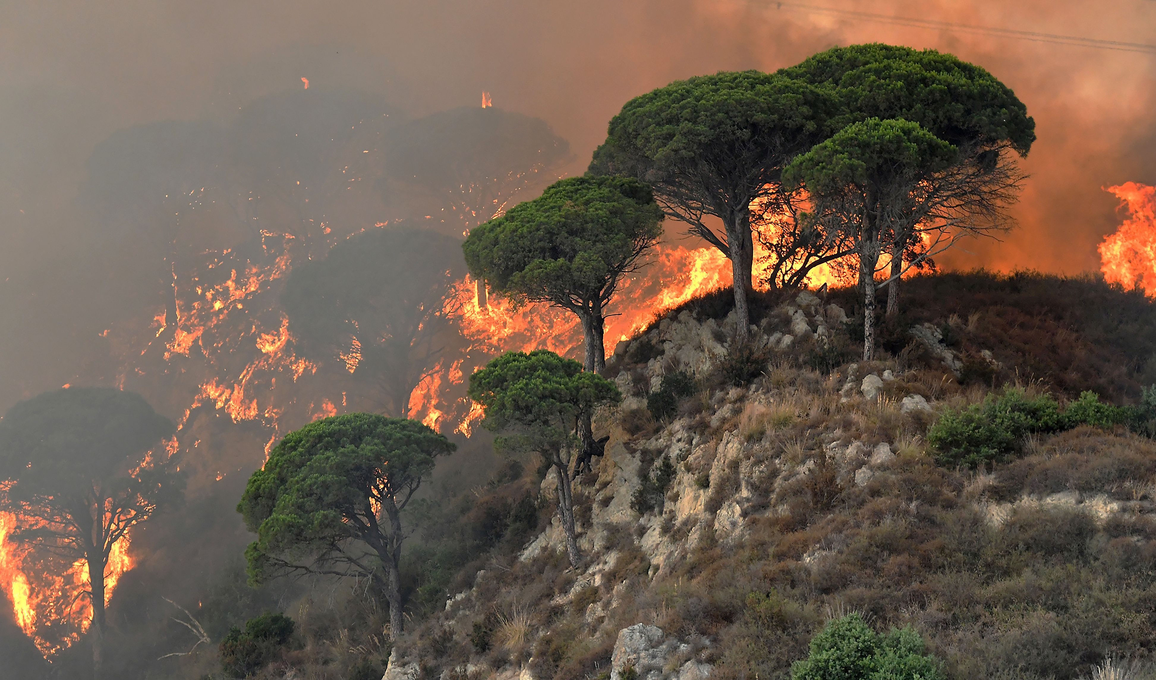 Incendi estivi in Campania : 13mila ettari di boschi distrutti. Ecco tutti i dati ARPAC