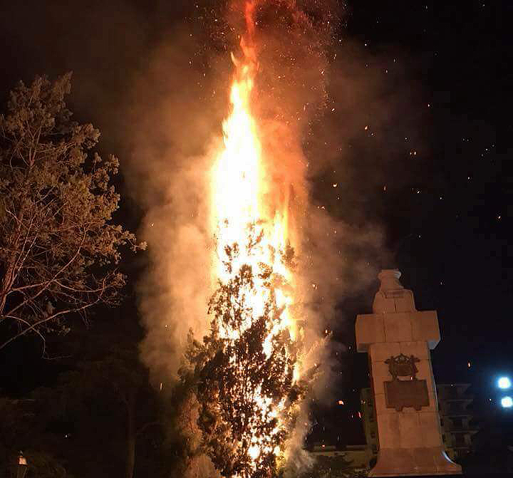Marigliano, albero incendiato nella notte nella villa comunale