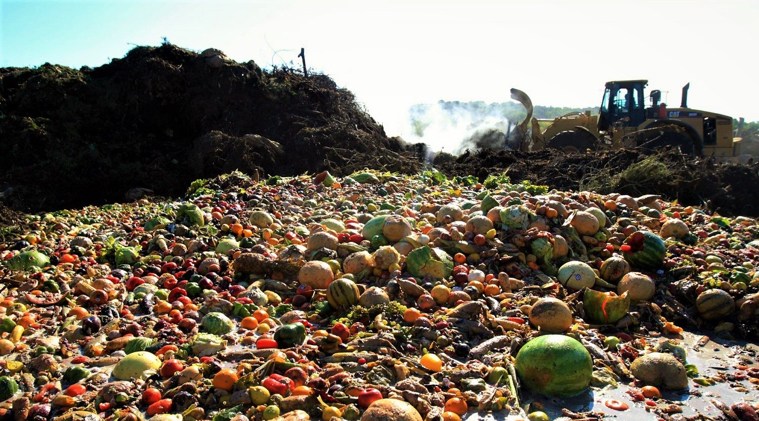 In aumento lo spreco alimentare : ecco il rapporto targato Ispra