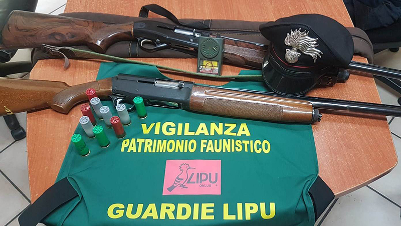 Servizi anti bracconaggio tra Napoli e Caserta: sequestrati fucili,  richiami e animali vivi e morti