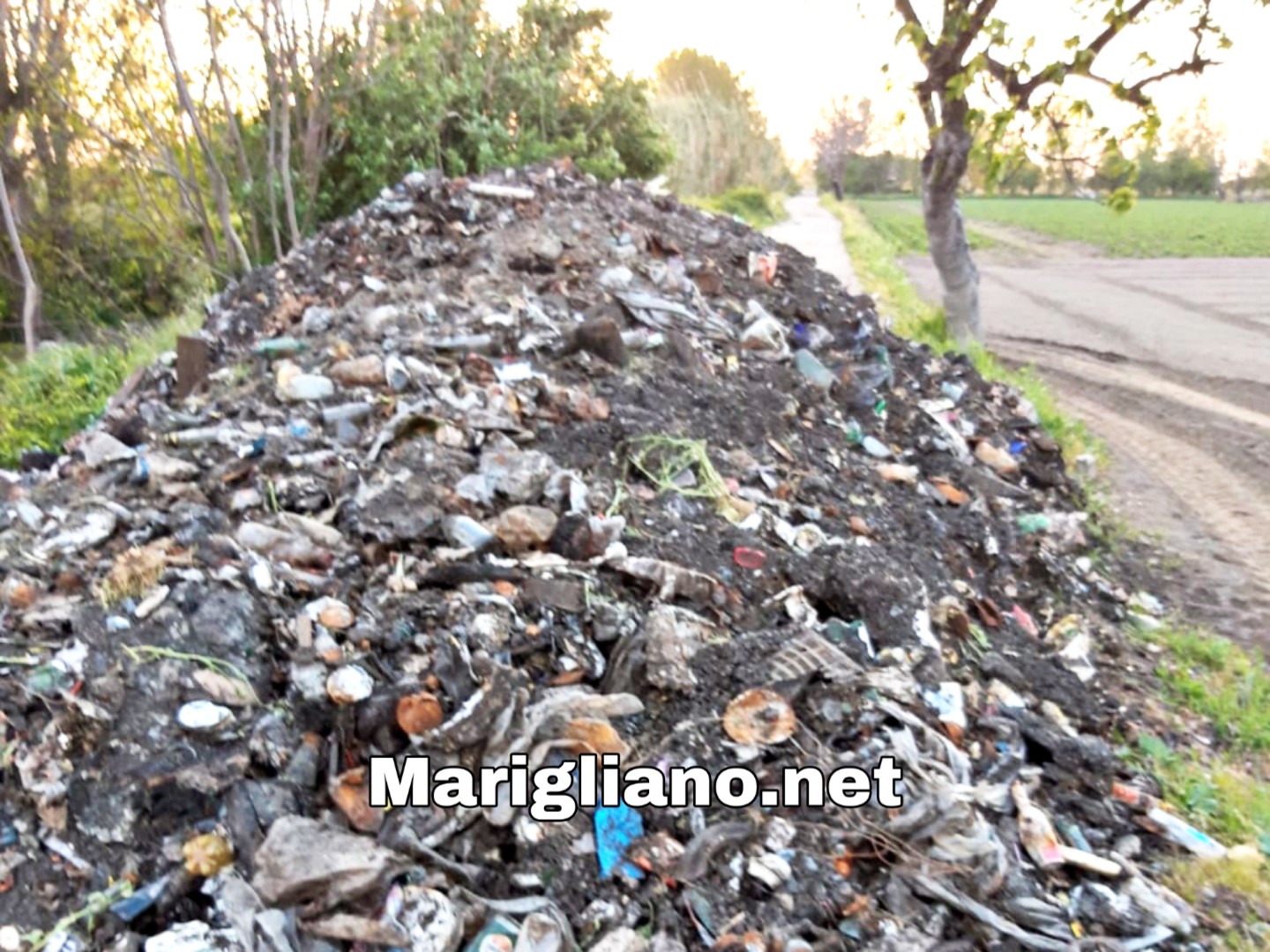 Reati ambientali, sequestrati un'area di 3500 mq e 2 tonnellate di rifiuti