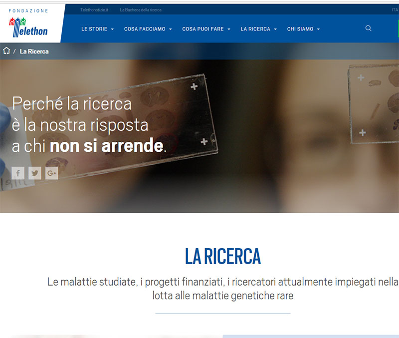 Fondazione Telethon, in Campania oltre 190mila euro per la ricerca sulle malattie genetiche rare