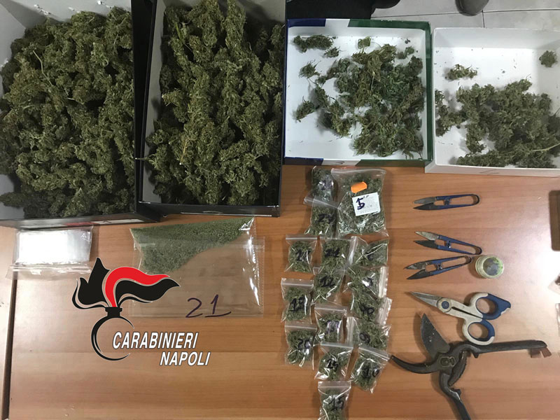 8 chili di marijuana in casa e una pianta di cannabis in giardino:  arrestate 2 persone