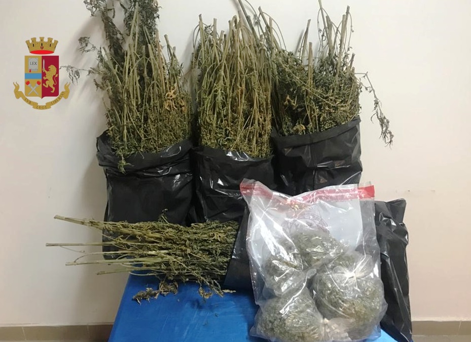 Scoperta serra  per la coltivazione di marijuana:   arrestato 49enne