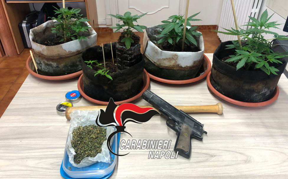 Lite tra fratelli: i carabinieri  trovano marijuana in casa. Denunciato un 47enne