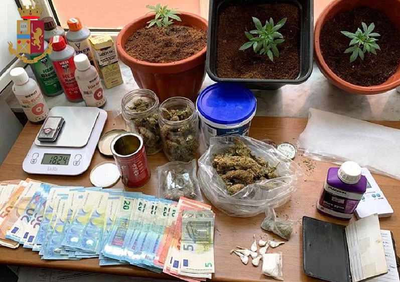 Coltiva piante di marijuana in casa. Arrestato un 23enne.