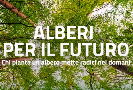 Alberi per il futuro: iniziativa Movimento Cinque Stelle il 20 e 21 novembre