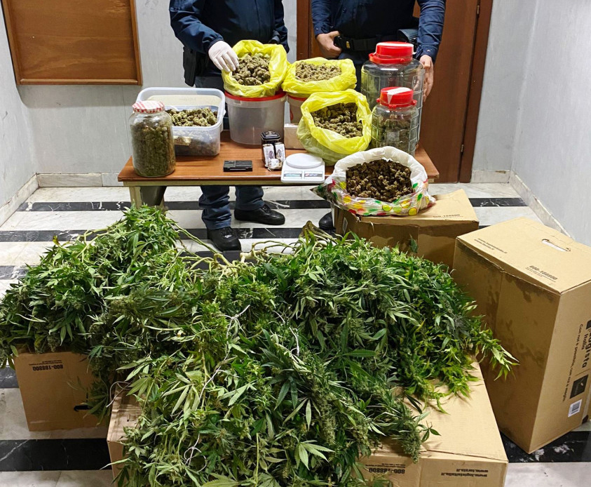 Pomigliano d’Arco,  scoperta una serra di marijuana: due arresti
