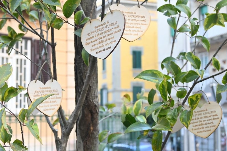 Napoli: piantato a Materdei  l'albero per le vittime napoletane del Covid-19