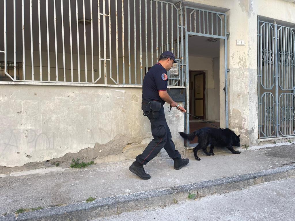 Controlli dei carabinieri: sequestri