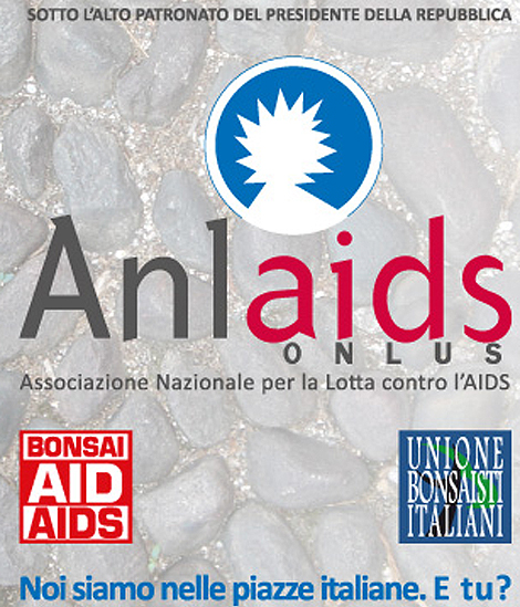 Pomigliano D'Arco, Bonsai Aid Aids 2013