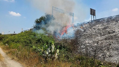 Pomigliano, estate e roghi: fiamme sulla Ss162