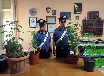 Nola, coltivava marijuana in casa: arrestato 36enne