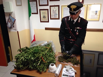 Coltivazione marijuana nel Vesuviano, blitz dei Carabinieri: colluttazione ed arresto