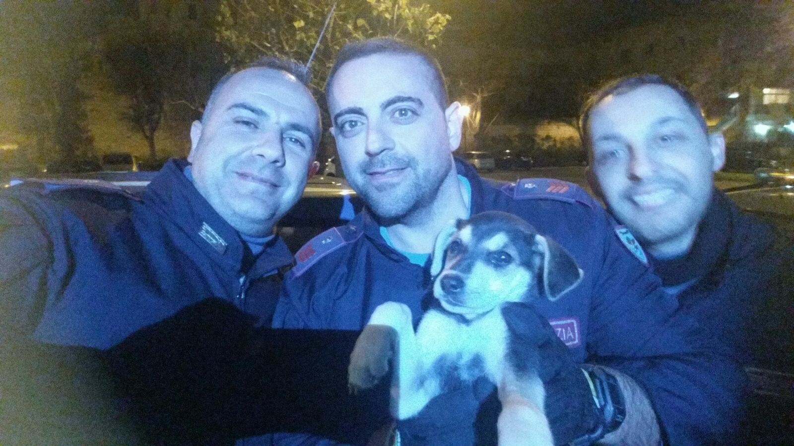Napoli, lanciano cucciolo da auto in corsa: animale salvato dai poliziotti